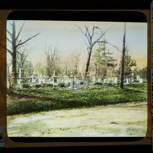 S.C.I. Plot In Evergreen Cemetery_Brooklyn_1851-1918_86.jpg