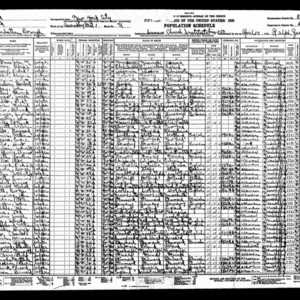 1930 US Census example image.jpg