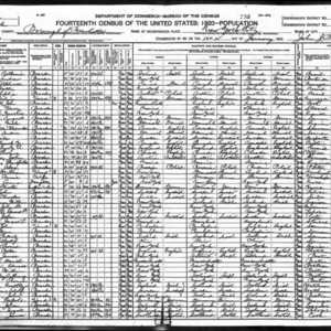 1920 US Census example image.jpg