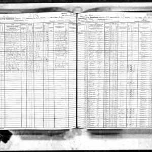 1925 NY Census example image.jpg