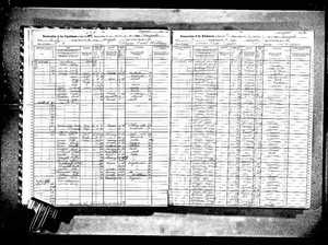 1915 NY State Census example image.jpg